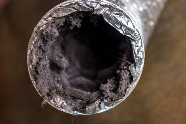 Best HVAC Duct Inspection Services  in East Alton, IL